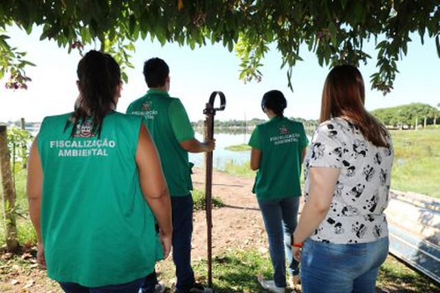 Meio Ambiente se programa para retirada dos jacarés da Lagoa Maior