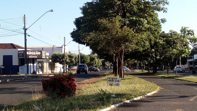 Plantio de árvores pode reduzir a temperatura do ambiente em até cinco graus Arborização no canteiro central da avenida Filinto Muller: temperatura sob a sombra chega a ser cerca de 30ºC menor que no asfalto sob o sol. Foto: Gisele Berto