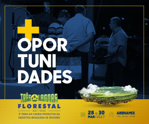 Três Lagoas Florestal já tem 70% de áreas comercializadas