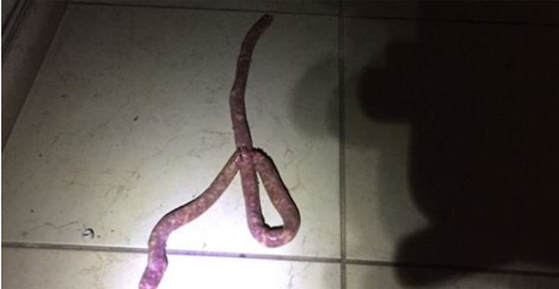 Mulher confunde linguiça com cobra e pede socorro aos bombeiros Imagem da linguiça encontrada em residência em Viçosa foi publicada por vários sites da cidade e região e compartilhada nas redes sociais (Foto: Reprodução/Facebook)