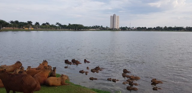 Temperaturas sobem e sol predomina nesta terça-feira Céu entre nuvens e muito sol marcam esse início de semana (Foto:Ricardo Ojeda)