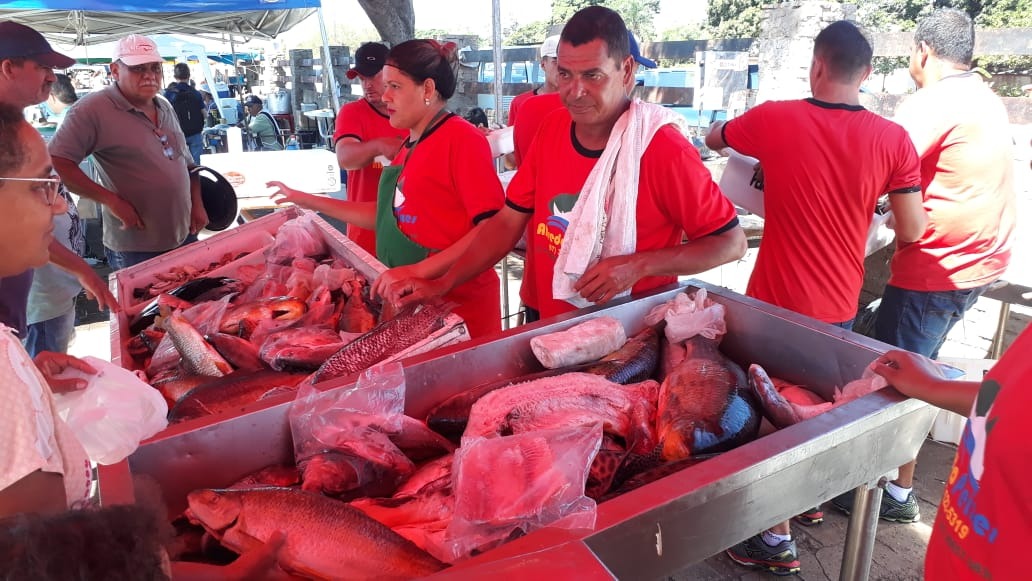 6ª Feira do Peixe de Três Lagoas comercializa mais de 15 toneladas de pescado Foto: João Vitor/Perfil News