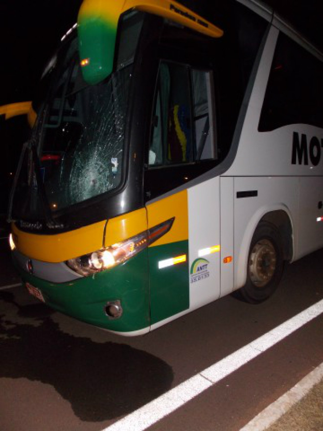 ônibus que seguia para São Paulo teve apenas o pára-brisa quebrado com o impacto (Foto: João Carlos Tonon/ Radio Portal News)
