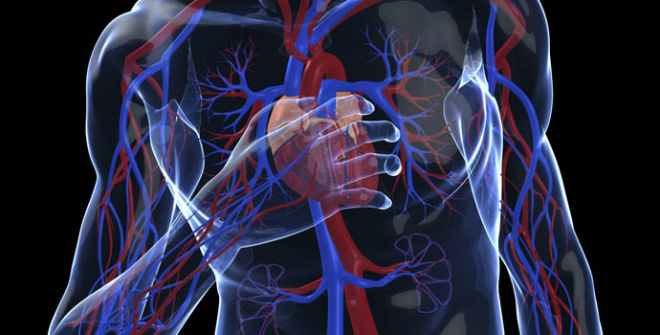 O problema cardiovascular atinge mais de 300 mil pessoas por ano e faz 80 mil vítimas (Foto: Reprodução)