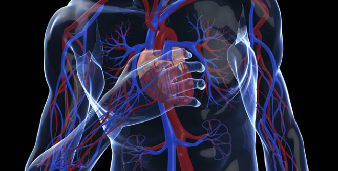 Infarto mata um brasileiro a cada cinco minutos O problema cardiovascular atinge mais de 300 mil pessoas por ano e faz 80 mil vítimas (Foto: Reprodução)