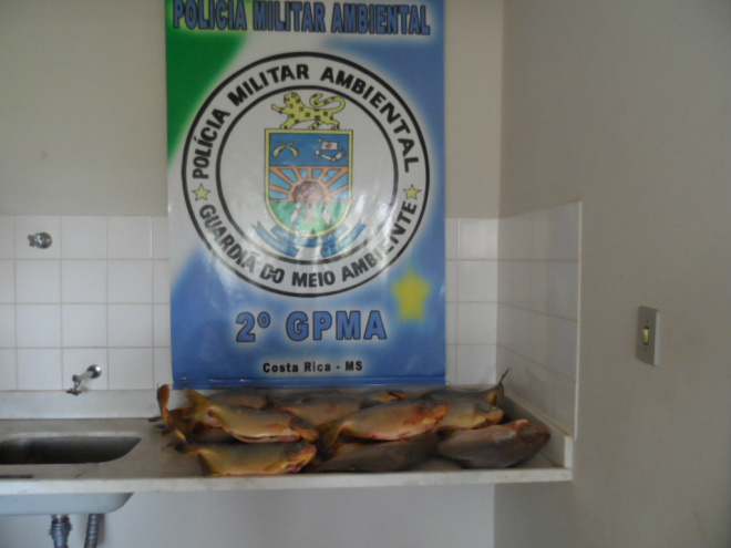 PMA prende homem com 17 kg de pescado ilegal em Costa Rica Além de peixe fora da medida, o pescado estava acima da cota permitida pela legislação, que é de 10 kg mais um exemplar e cinco piranhas por pescador (Foto: Divulgação/Assecom)