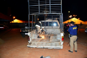 PRF apreende caminhonete com 320 kg de maconha em Bataguassu Foi necessária a ajuda de uma equipe do Corpo de Bombeiros para retirar os tabletes de maconha da caminhonete (Foto: Sérgio Melucci / Rádio Portal News)