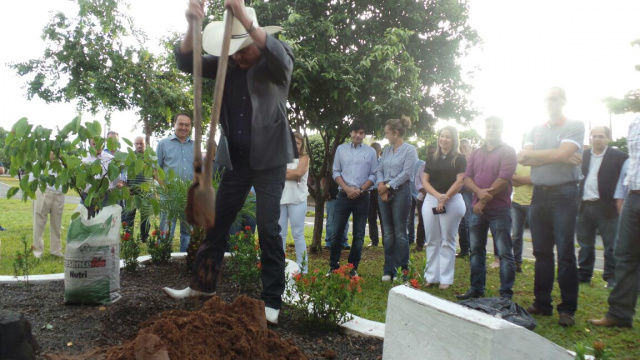 Guerreiro cava o buraco para plantar a muda de Jatobá. (Fotos: Ricardo Ojeda/ Perfil News). 