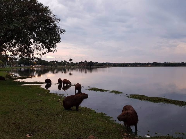 Lagoa Maior é um dos principais pontos de encontro para lazer e turismo em Três Lagoas. (Foto: Perfil News)