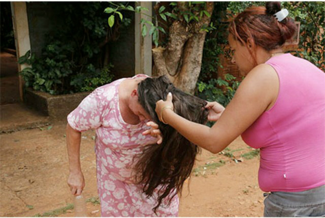 Abelhas matam três cachorros e 30 galinhas e atacam também moradores Vizinha vistoria cabeleira de dona Maria, para ver se não tem mais abelhas (Foto: Midiamax News)