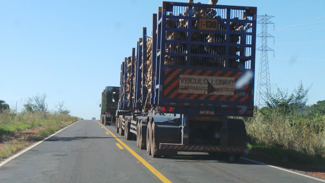 Acordo celebrado entre o Dnit e as empresas transportadoras de madeira de eucaliptos prevê a cassação da licença de operação para quem for flagrado trafegando em comboio nas rodovias federais da região (Foto: Ricardo Ojeda)