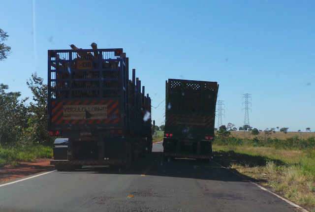 Ultrapassagens entre carretas treminhões, como mostra a imagem, são constantes na BR 262 (Foto: Ricardo Ojeda)