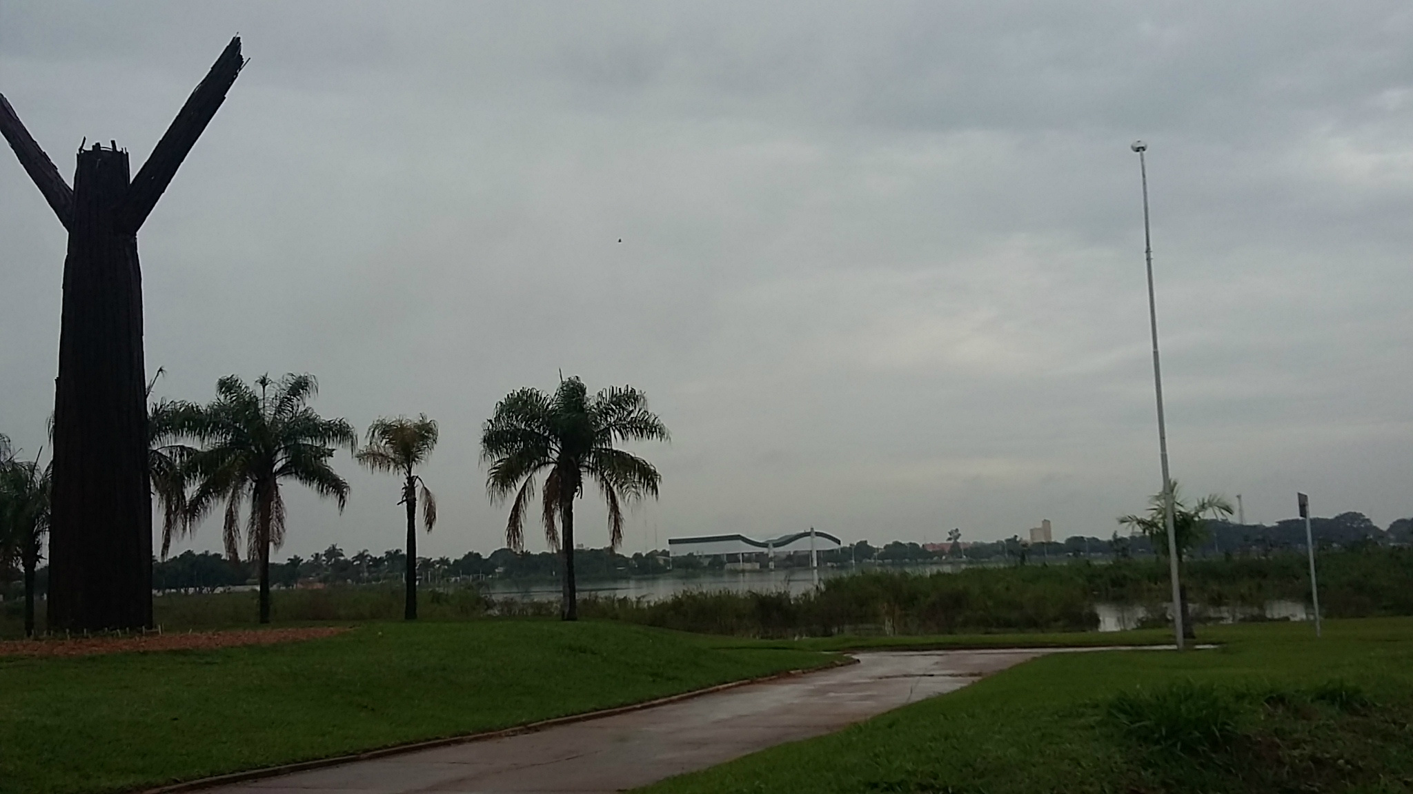 Céu nublado e pancadas de chuva iniciam a manhã em Três Lagoas. (Foto: Patrícia Miranda)
