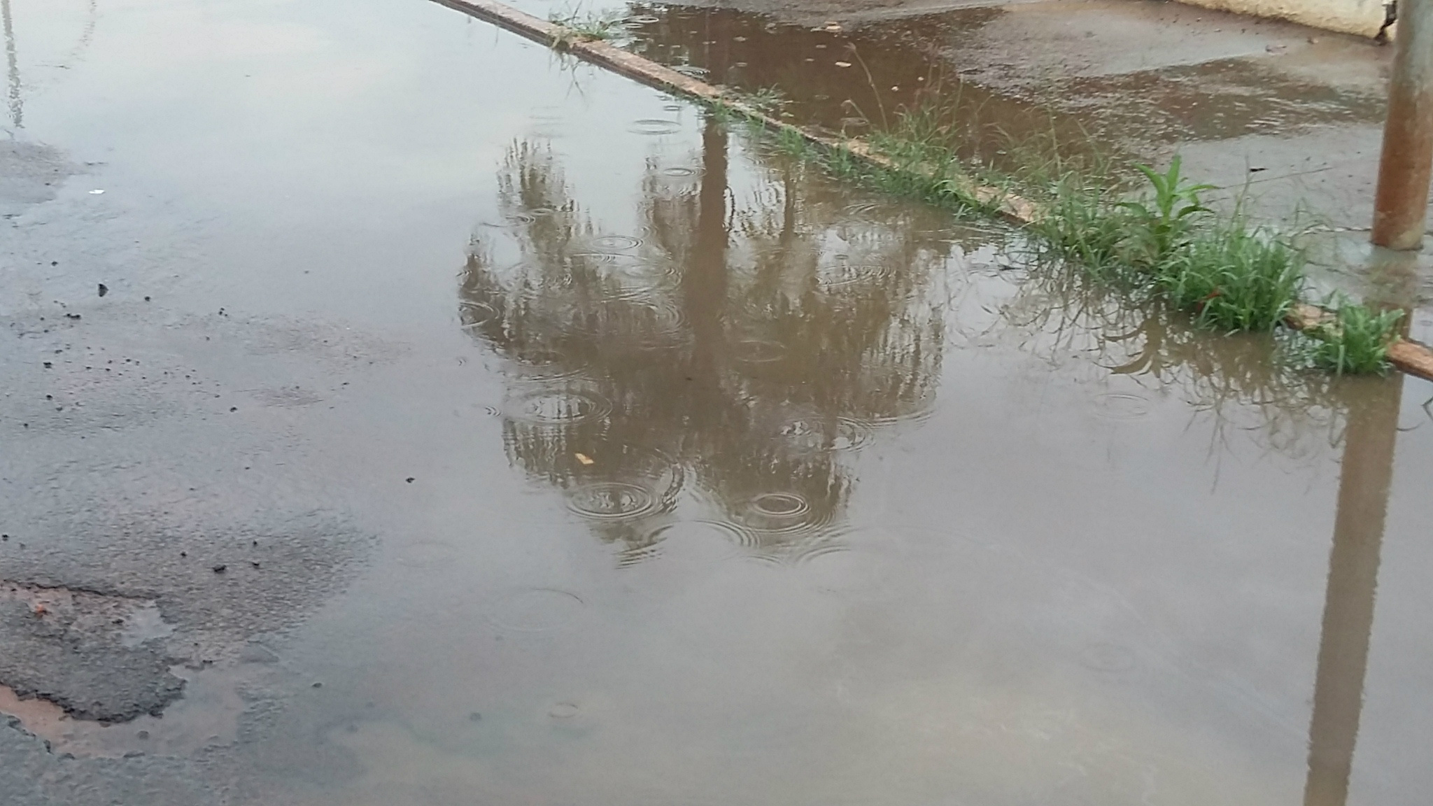Previsão de chuva durante o dia e a noite nesta terça-feira Pancadas de chuva iniciam a manhã em Três Lagoas. (Foto: Patrícia Miranda)