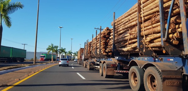 Carretas de madeira e celulose ficam paradas na estrada Caminhões carregados de madeira parados na Ranulpho Marques Leal. Foto: Ricardo Ojeda