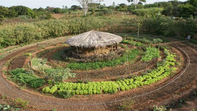 Modelo de tecnologia social do kit pais instalada em pequena propriedade rural, com galinheiro e a horta circular (Foto: Divulgação)
