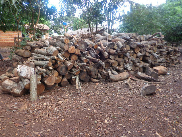 PMA autua arrendatário de fazenda em R$ 5,4 mil por armazenar madeira ilegalmente 18 m³ de lenha armazenada ilegalmente. (Foto: Assessoria)