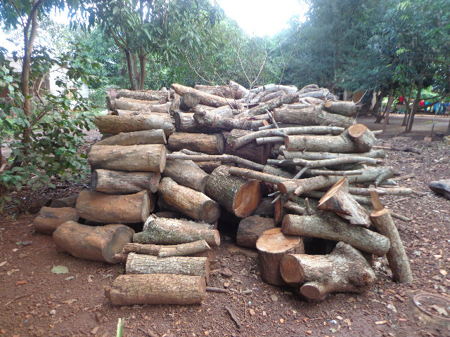 O infrator afirmou que retirara a madeira de um desmatamento legalizado, porém, não conseguira a documentação para a posse e transporte. (Foto: Assessoria)