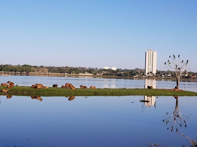 Com calor de 29ºC, domingo promete ser quente em Três Lagoas Domingo deve ser ensolarado em Três Lagoas. (Foto: Perfil News).