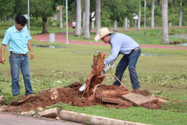 O prefeito de Três Lagoas, Angelo Guerreiro, coordenou diretamente os trabalhos de recuperação de ruas, praças e residências. (Foto: Assessoria).
