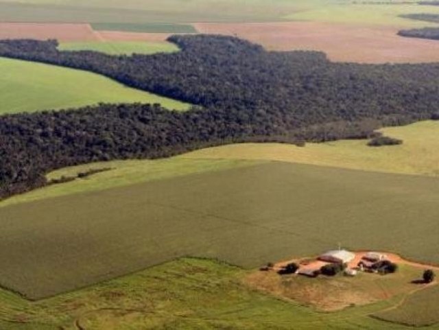 Produtores rurais de MS têm dívida R$ 250 milhões à União relativos ao ITR Dívidas de impostos referentes a propriedades rurais têm valor milionário em MS (Foto: Divulgação/CNA)