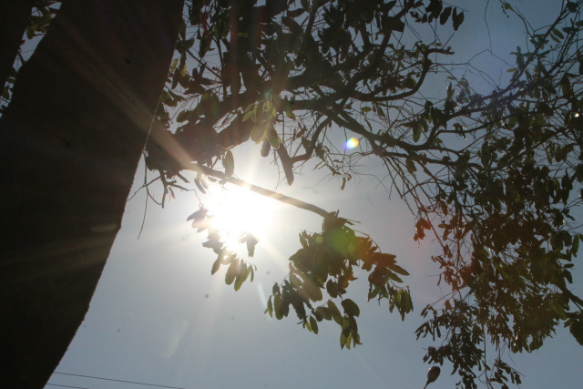 Nas primeiras horas da manhã a sensação térmica foi de 26°C em Três Lagoas. (Foto: Patrícia Miranda)