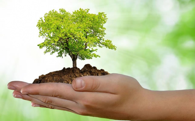 Senac Três Lagoas realiza Semana do Meio Ambiente de 10 a 12 de junho O evento contará com apresentações de trabalhos e culturais, palestras e visitas técnicas. (Foto: Divulgação)