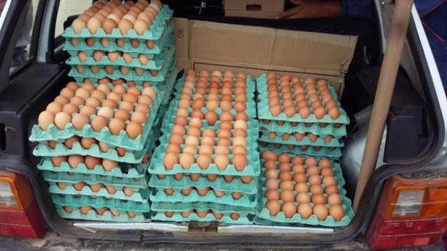 Produção de ovos bate recorde no país, diz IBGE Carro do ovo: sucesso nacional. Foto: reprodução Youtube