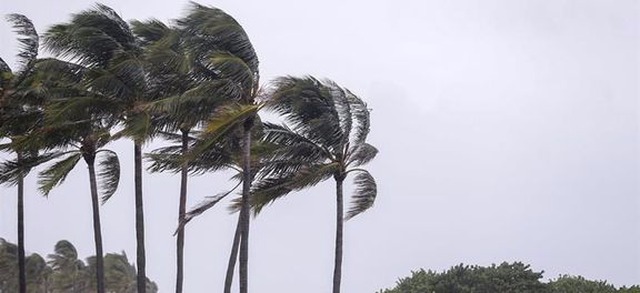 Furacão Irma deixa mais de 825.000 casas sem energia na Flórida