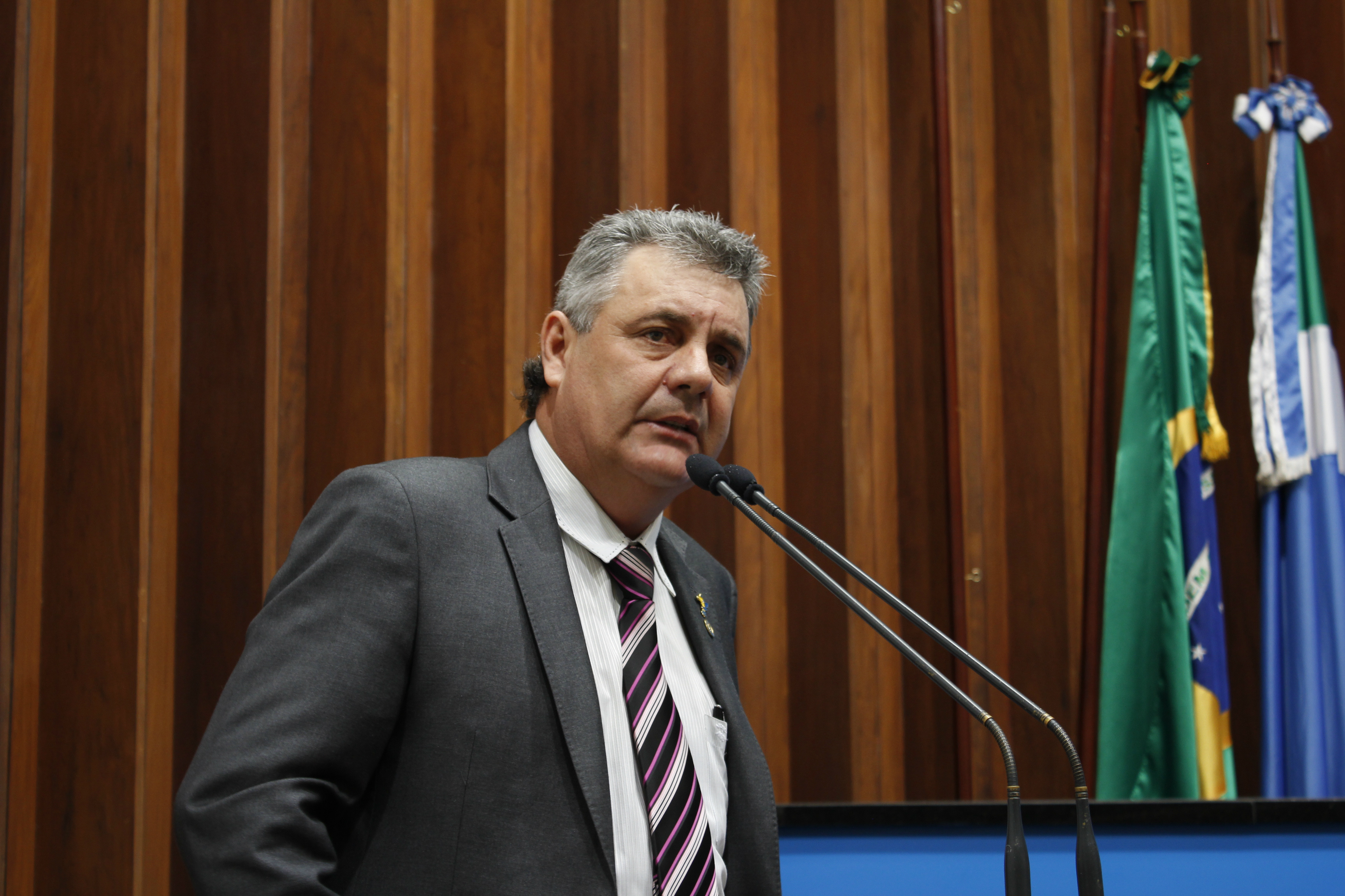 A solicitação do deputado estadual Angelo Guerreiro foi encaminhada à mesa diretora na sessão plenária desta terça-feira. (Foto: Assessoria)