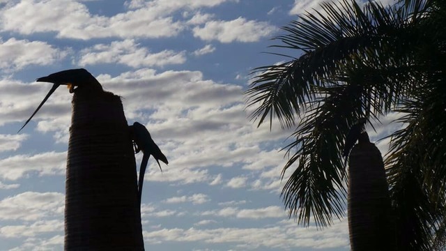 Terça-feira começa gelada em Três Lagoas Manhã começa com sol entre nuvens (Foto/Ricardo Ojeda)