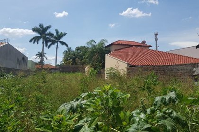 Prefeitura realiza limpeza e aplica multa para donos de 340 terrenos