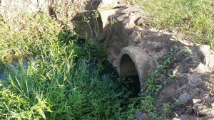 Análise mostra que água da Lagoa Maior está contaminada