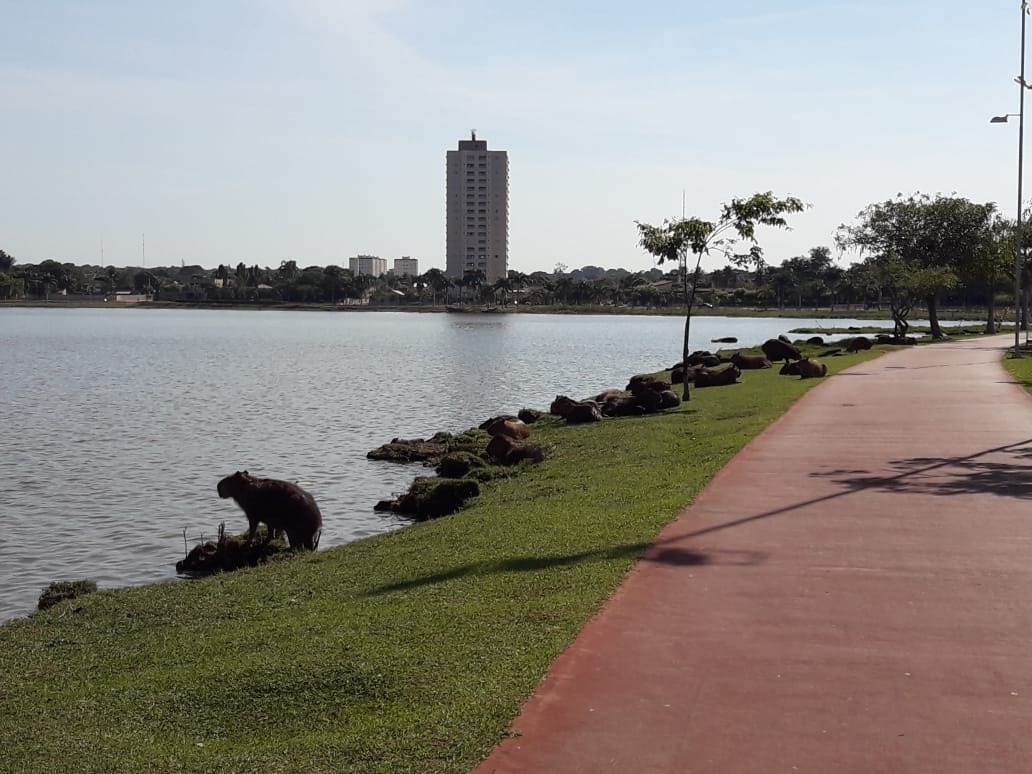 Sol volta a brilhar e Três Lagoas terá domingo quente e aberto Foto: Gisele Berto