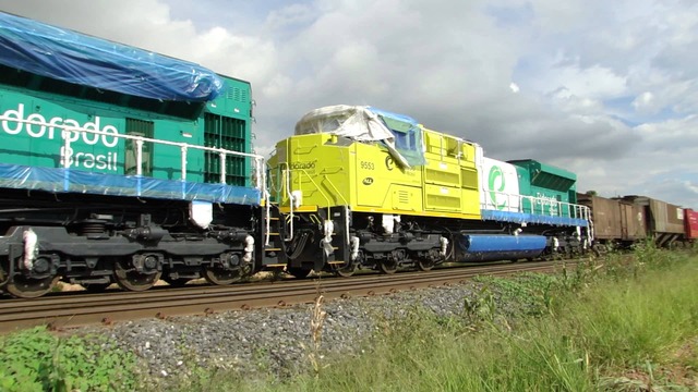 
A fábrica de celulose Eldorado Brasil investiu mais de R$ 280 milhões na compra de 300 vagões e 20 locomotivas para o transporte de celulose até o Porto de Santos (Foto: Assessoria de Comunicação)

