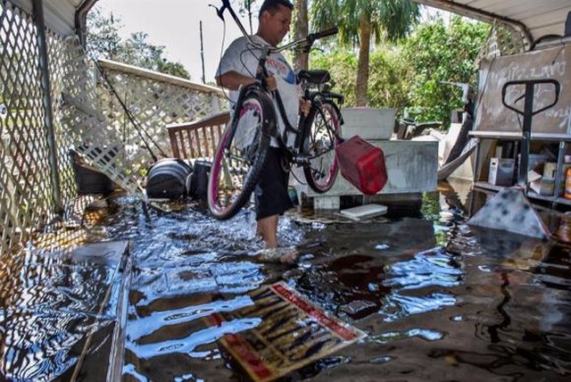 Moradores de Golden Gate, na Flórida, retornam às suas casas e começam a limpar a destruição que o Irma deixou ao passar pela região com ventos de mais de 200 quilômetros por hora. (Foto:Giorgio Vieira/EPA/EFE/direitos reservados)