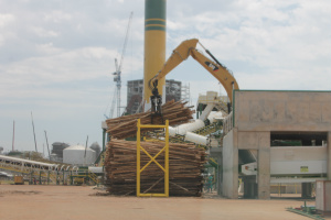 Madeira já está sendo utilizada em escala industrial e depois de picotada... 