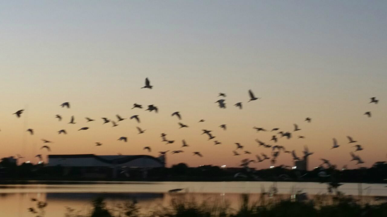 Manhã de sexta-feira inicia com céu aberto. (Foto: Ricardo Ojeda)