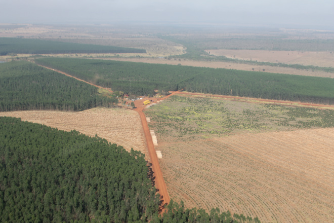 ...a floresta é plantadas por uma equipe formada por funcionários próprios, para garantir a uniformidade e qualidade. Depois de colhida a madeira é transportada por carretas para o patio da fábrica...