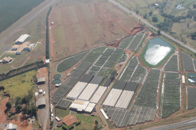 Fábrica de celulose da Eldorado Brasil já está 98% concluída Acompanha as fotos na sequência: A matéria prima (mudas) é fornecida pelo viveiro próprio que a Empresa possui no município de Andradina...