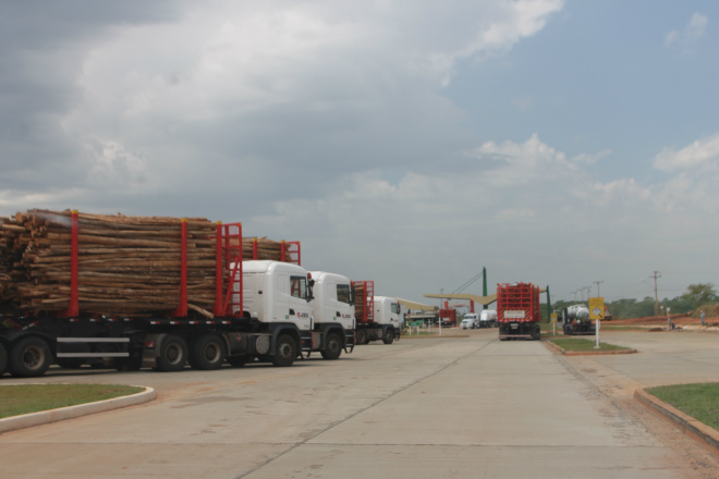 ...as carretas quando chegam ao terminal tem aguardar a vez para descarregar a carga...