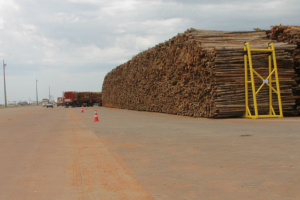 Fábrica de celulose da Eldorado Brasil já está 98% concluída ... o terminal de descarga possui capacidade para receber madeira o equivalente para dez dias de produção da fábrica (Fotos: Ricardo Ojeda)