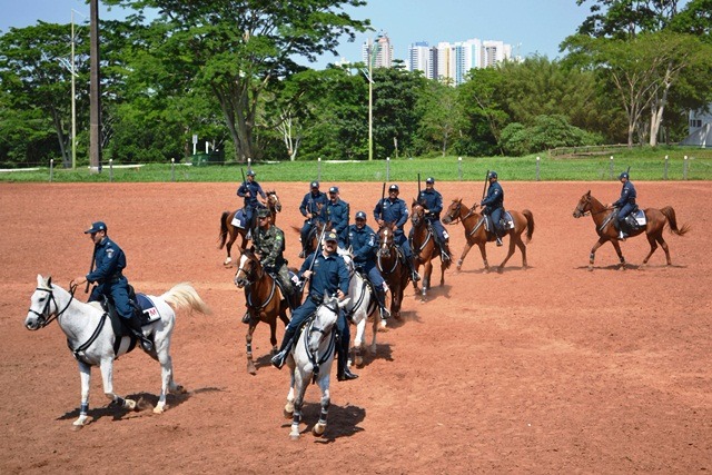 Aproximadamente 10 cavalos que participam do Pelotão de Choque virão para a Cidade pela primeira vez (Foto/Assessoria)