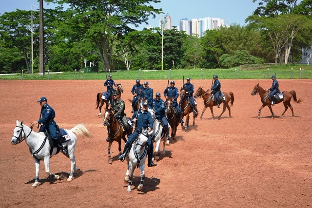 Confirmada a participação da Cavalaria da PM no Desfile Cívico do Aniversário de Três Lagoas Aproximadamente 10 cavalos que participam do Pelotão de Choque virão para a Cidade pela primeira vez (Foto/Assessoria)