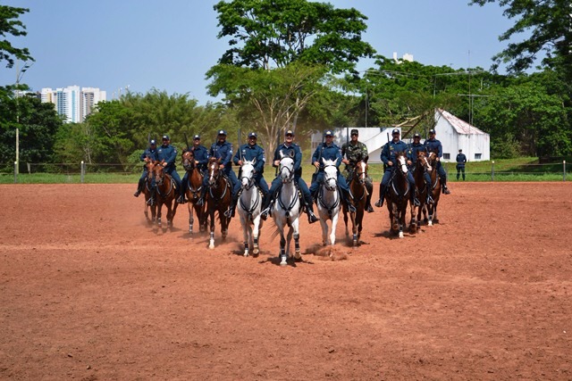 Confirmada a participação da Cavalaria da PM no Desfile Cívico do Aniversário de Três Lagoas