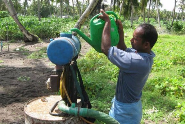 Pesquisas que mostram que os agrotóxicos causam cerca de 200 mil mortes por envenenamento a cada ano em todo o mundo. (Foto: FAO/Harry Vander Wul/ONU)