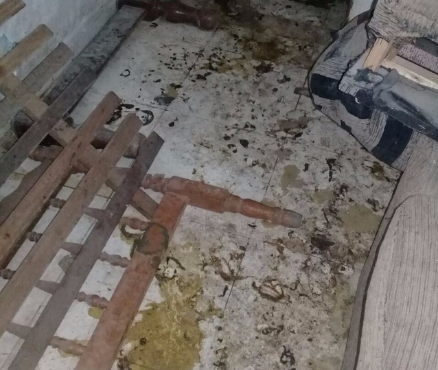Falta de apoio dificulta trabalho de resgate de animais em Três Lagoas Falta de apoio dificulta trabalho de resgate de animais em Três Lagoas