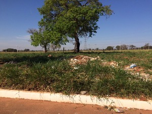 Morador que jogar lixo em lugar impróprio pode pagar multa Morador que jogar lixo em lugar impróprio pode pagar multa