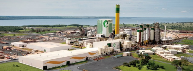 Com investimentos de R$ 8 bilhões Eldorado lança segunda linha de produção A segunda linha de produção vai ampliar a capacidade produtiva para mais dois milhões de toneladas por ano. As duas unidades operando conjuntamente produzirá mais de 3,5 milhões de toneladas/ano (Foto: Divulgação)