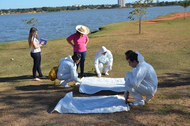 Equipe verifica se há presença de Carrapato-Estrela na Lagoa Maior Técnicos fizeram varredura da Circular da Lagoa Maior à procura de parasitas. Foto: Divulgação